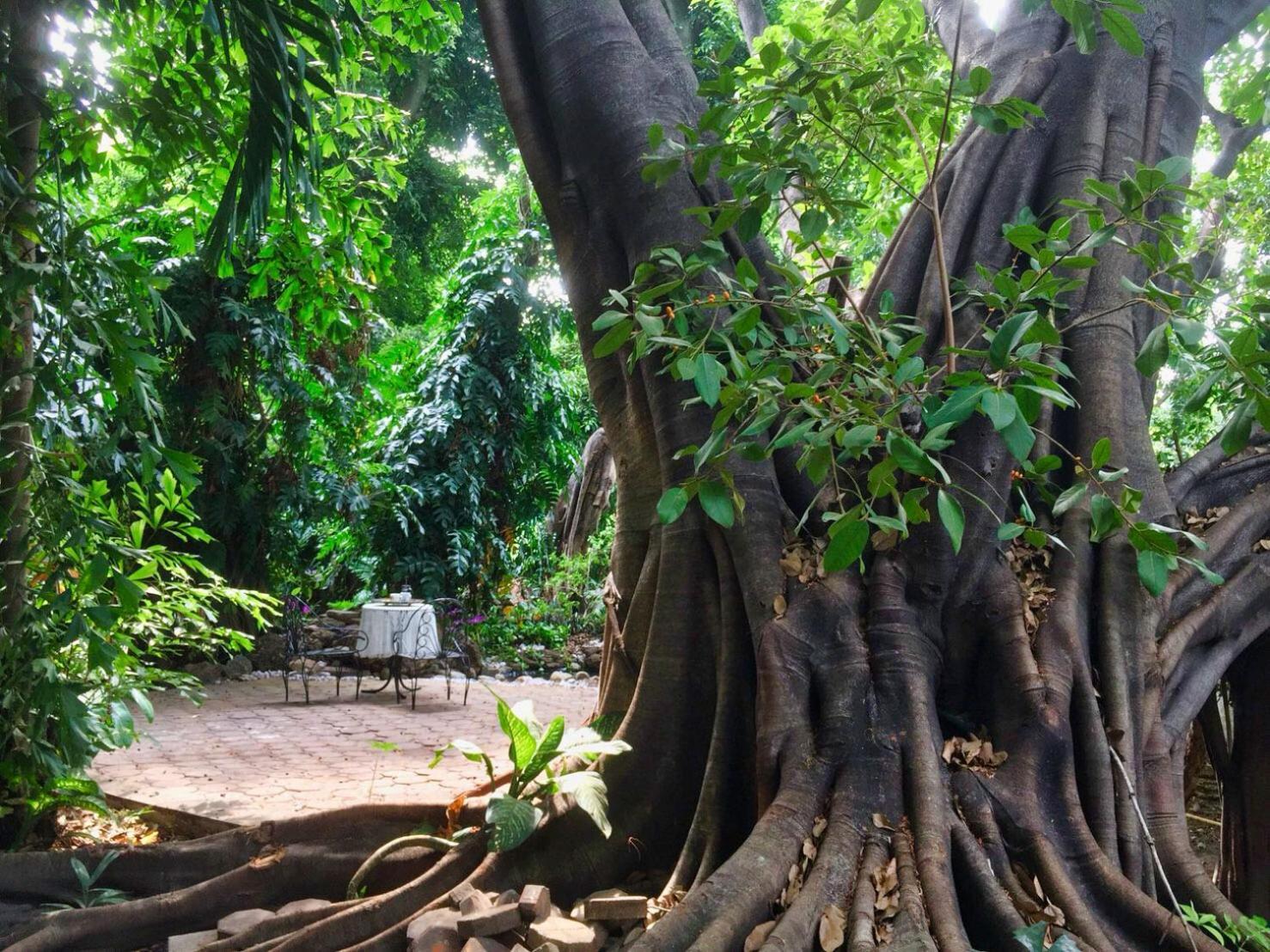 Cozycomo Bangkok Eksteriør bilde